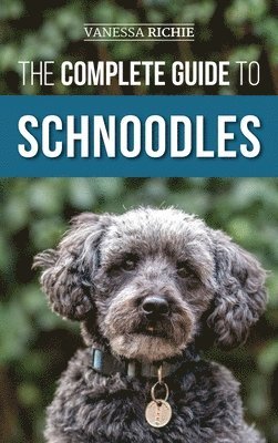 Complete Guide to Schnoodles