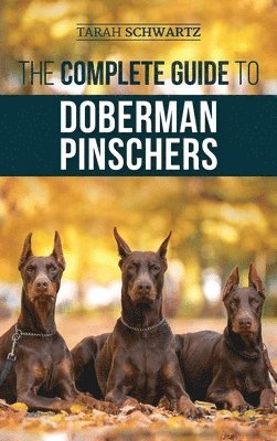 Tarah Schwartz - Complete Guide to Doberman Pinschers, Inbunden