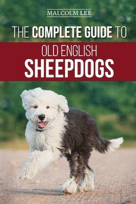 The Complete Guide to Old English Sheepdogs 1