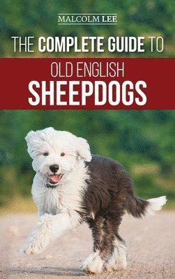 Complete Guide to Old English Sheepdogs