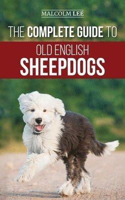 The Complete Guide to Old English Sheepdogs 1