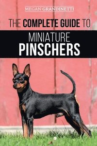 bokomslag The Complete Guide to Miniature Pinschers
