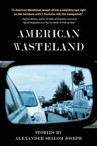 bokomslag American Wasteland
