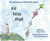 bokomslag Kit Flies High