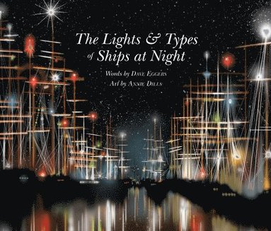 bokomslag LIGHTS & TYPES OF SHIPS AT NIGHT