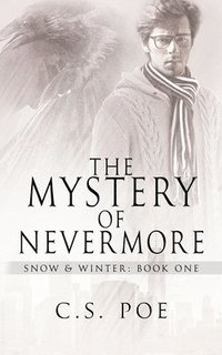 bokomslag The Mystery of Nevermore