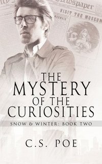 bokomslag The Mystery of the Curiosities