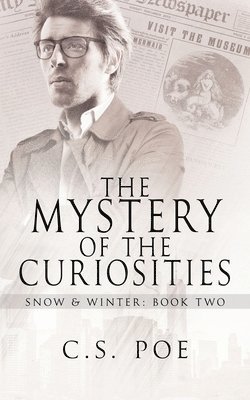 bokomslag The Mystery of the Curiosities