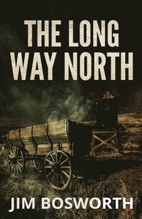 bokomslag The Long Way North