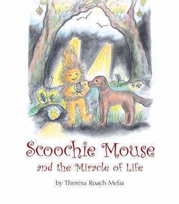 bokomslag Scoochie Mouse and the Miracle of Life