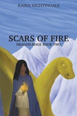 bokomslag Scars of Fire