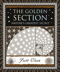 bokomslag The Golden Section: Nature's Greatest Secret
