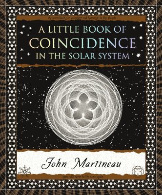 bokomslag A Little Book of Coincidence