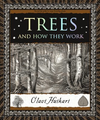 Trees and How They Work 1