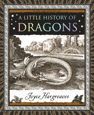 Joyce Hargreaves - A Little History of Dragons, Häftad