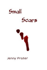 bokomslag Small Scars