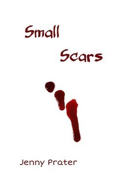 Small Scars 1