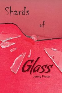 bokomslag Shards of Glass