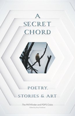 bokomslag A Secret Chord: Poetry, Stories & Art