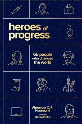 bokomslag Heroes of Progress