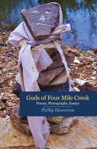 bokomslag Gods of Four Mile Creek