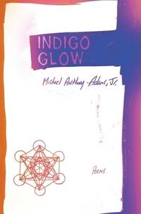 bokomslag Indigo Glow