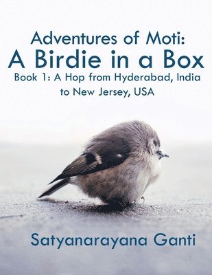 Adventures of Moti: A Birdie in a Box: Book 1: A Hop from Hyderabad, India to New Jersey, USA 1