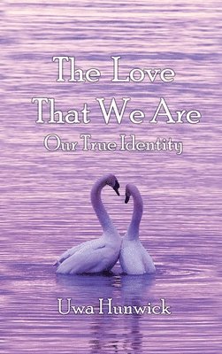 bokomslag The Love that We Are: Our True Identity