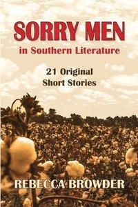 bokomslag Sorry Men in Southern Literature