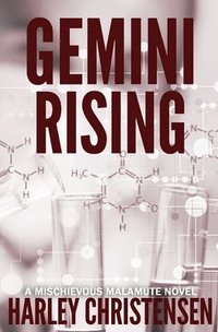 bokomslag Gemini Rising