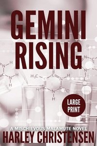 bokomslag Gemini Rising
