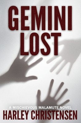 bokomslag Gemini Lost