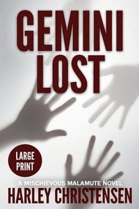 bokomslag Gemini Lost