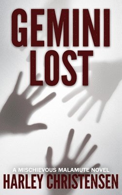 bokomslag Gemini Lost