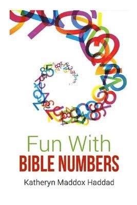 bokomslag Fun With Bible Numbers