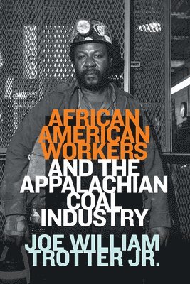 bokomslag African American Workers and the Appalachian Coal Industry