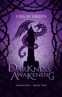bokomslag Darkness Awakening