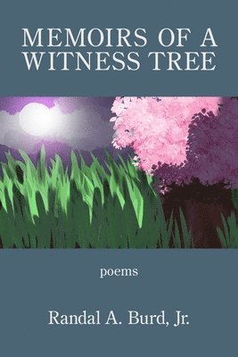 Memoirs of a Witness Tree 1