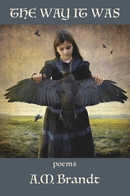 A. M. Brandt - The Way it Was, Häftad