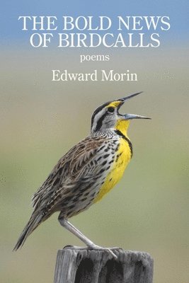 Edward Morin - The Bold News of Birdcalls, Häftad