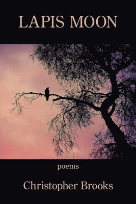 Christopher Brooks - Lapis Moon, Häftad