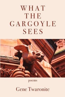 What the Gargoyle Sees 1