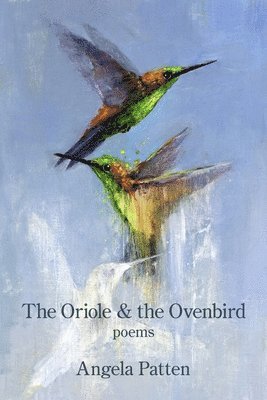 The Oriole & the Ovenbird 1