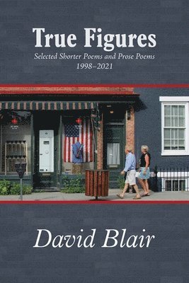 David Blair - True Figures, Häftad