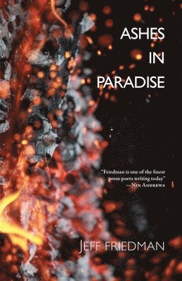 Jeff Friedman - Ashes in Paradise, Häftad