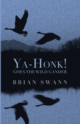 Ya-Honk! Goes the Wild Gander 1