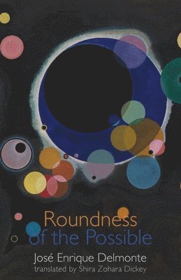 José Enrique Delmonte - Roundness of the Possible, Häftad