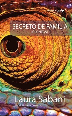 bokomslag Secreto de familia