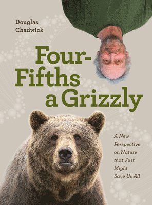 Four Fifths a Grizzly 1