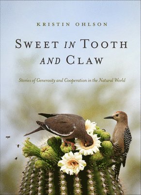 Kristin Ohlson - Sweet in Tooth and Claw: Stories of Generosity and Cooperation in the Natural World, Häftad